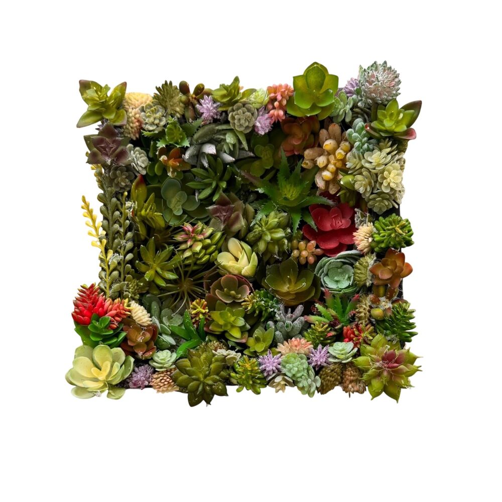 Succulent 3D Wall Art Faux Botanical Display Wall Garden Decor